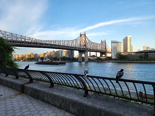 Rented by Bond New York | media 2