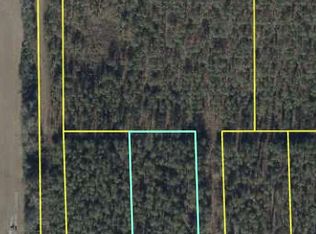 NE Cottonwood St, Pinetta, FL 32340