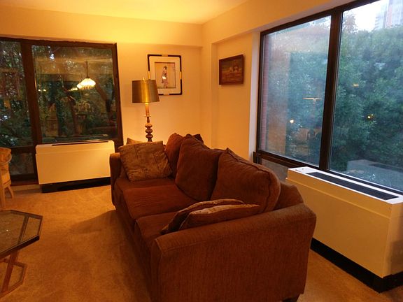 5th image of 1115 S Plymouth Ct APT 313