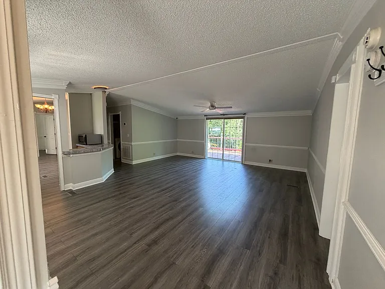 207 Big Tree Dr — Photo 3