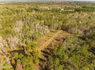 NULLA Pond Town Rd, Brunson, SC 29911