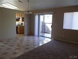 NEW Carpet & Paint