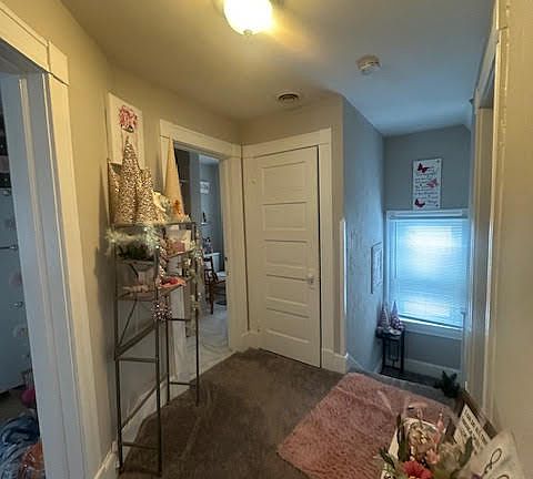 WOLFE5_02252026
