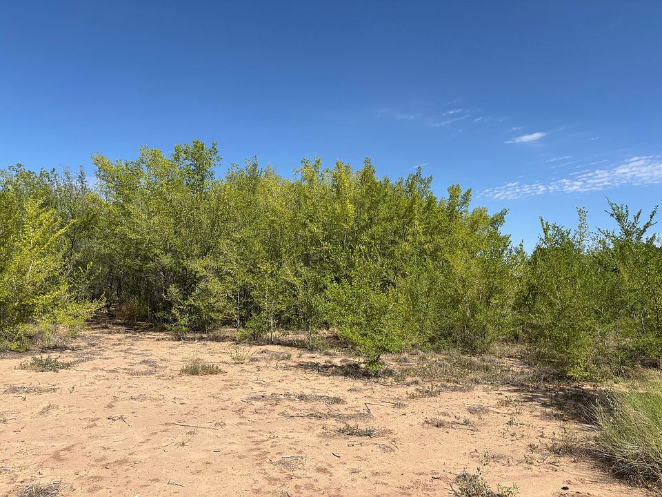2nd image of Darla Tract Dr #4