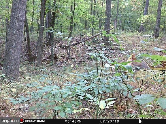 2nd image of Hunters Rd