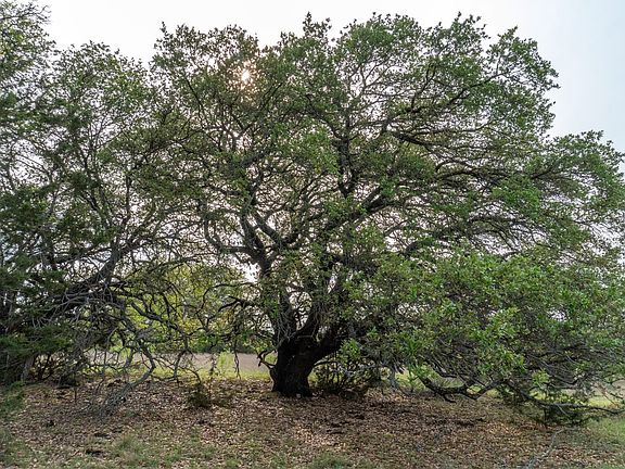 Land for Sale near Mullin, TX with Owner Financing