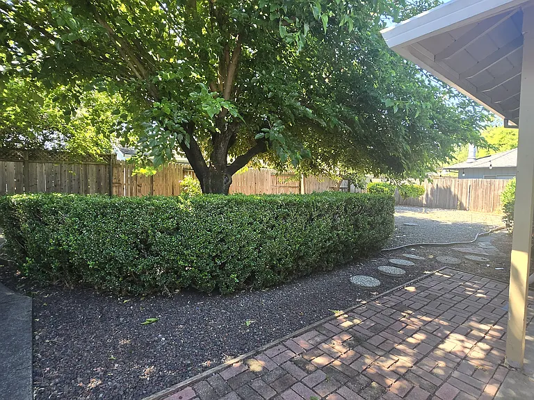 3656 Evergreen Rd — Photo 11
