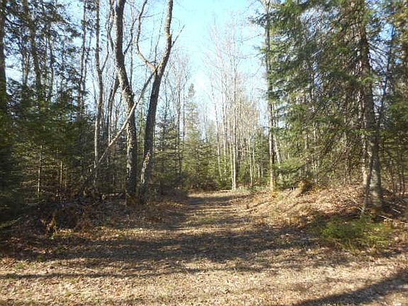 3rd image of 22267 County Road 415