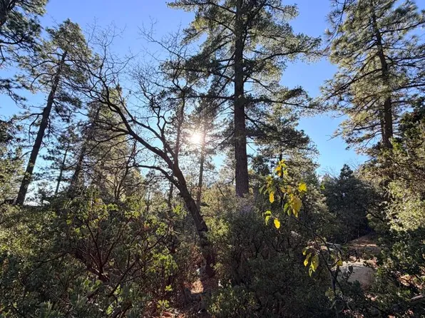 53040 Starlite Ln, Idyllwild, CA 92549