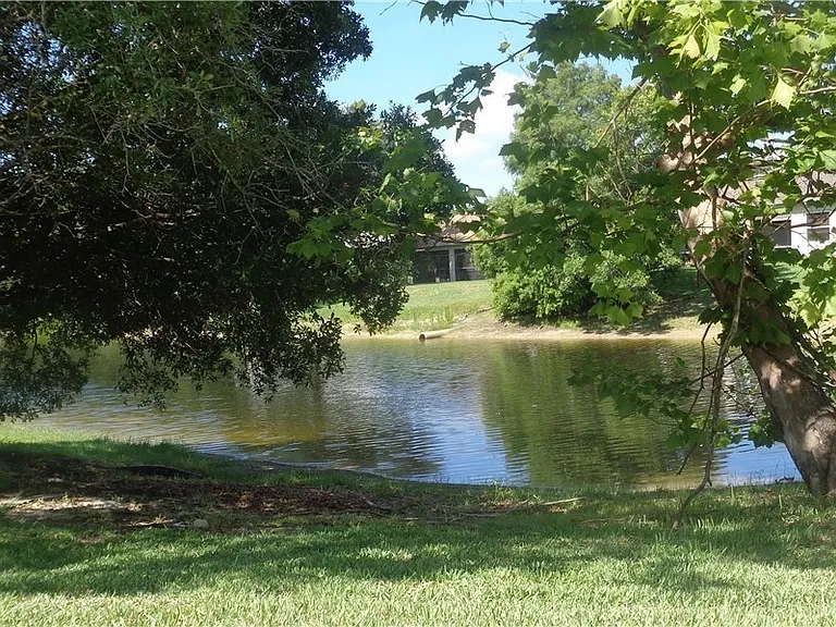 2463 Nature Pointe Loop — Photo 47