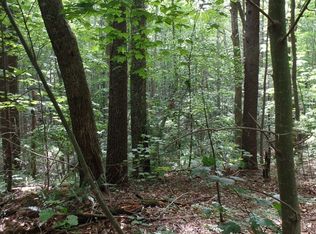 29181 Jeb Stuart Hwy, Damascus, VA 24236