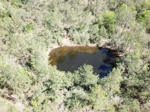 0 Langham Rd, Kountze, TX 77625