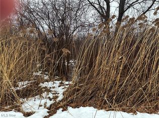 Appaloosa Trl, Madison, OH 44057