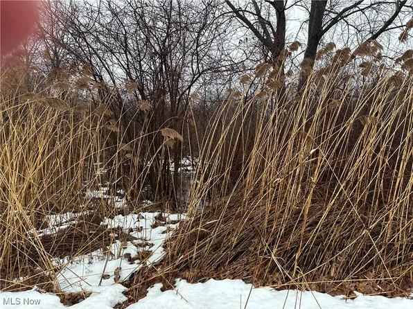 Appaloosa Trl, Madison, OH 44057