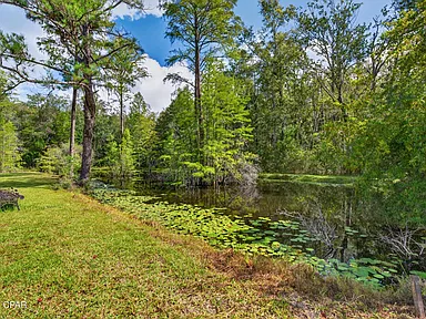 Property photo 44