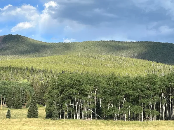LOT 3086 Forbes Rd, Fort Garland, CO 81133