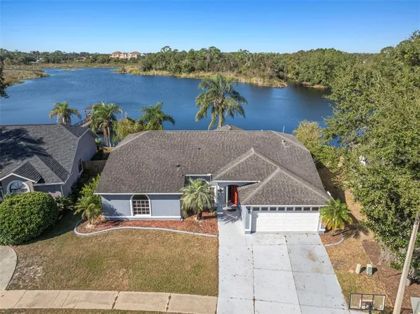 2229 Foggy Ridge Pkwy, Land O Lakes, FL 34639