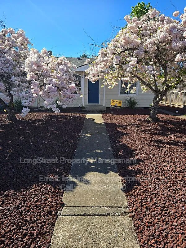 2 bed, 1.0 bath, 700 sqft, $1,595 — Photo 3