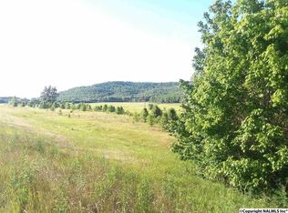 0 Highway 431, Guntersville, AL 35976