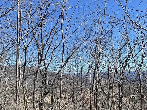 60 & 61J Mountain Harbour Dr, Hayesville, NC 28904