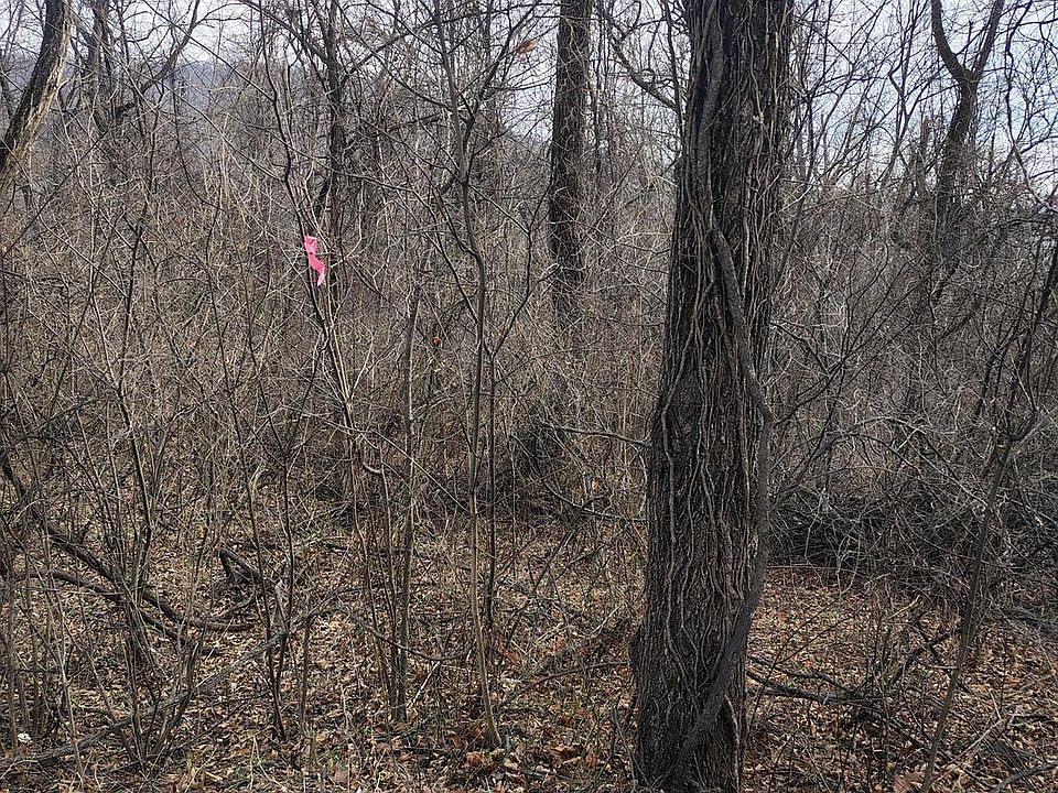 2nd image of Summit Point Dr