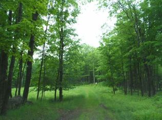 3713 Boy Scout Island Rd, Watersmeet, MI 49969