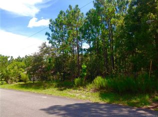 4 Milbark Ct, Homosassa, FL 34446