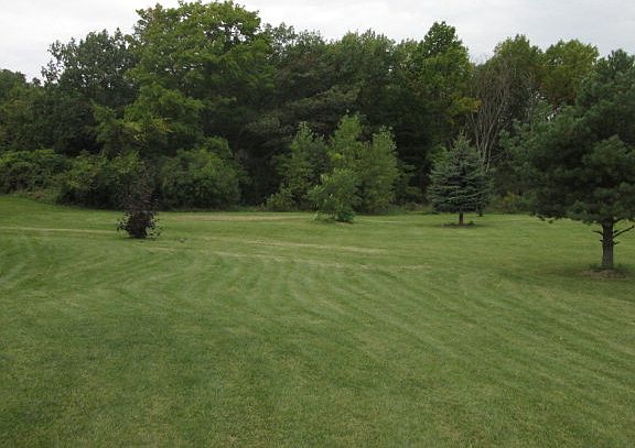 3rd image of 10521 Belgian Dr