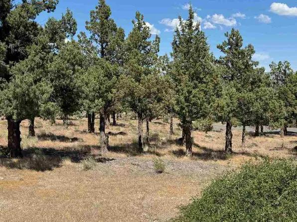 9-1 Wildhorse Pl Lot 114, Weed, CA 96094