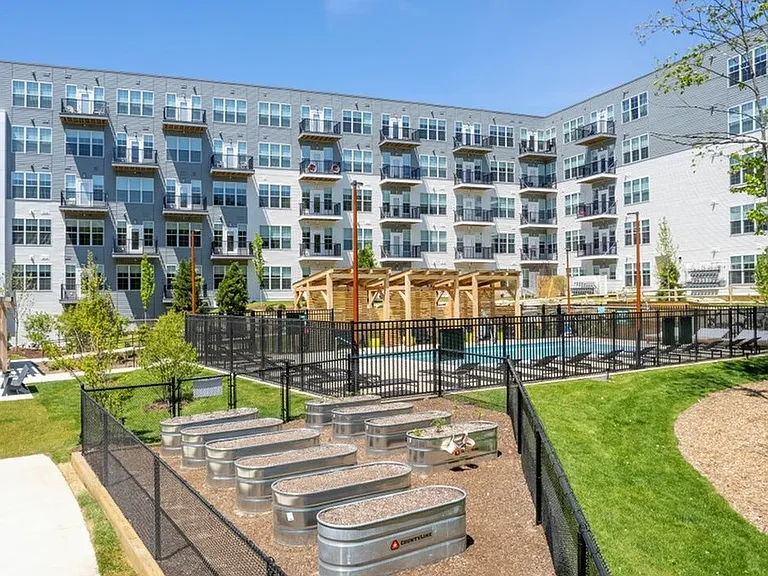 Community Garden and Outdoor Space