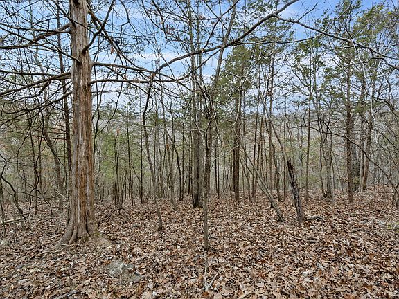 4th image of Lot 10 Greenbrier Drive