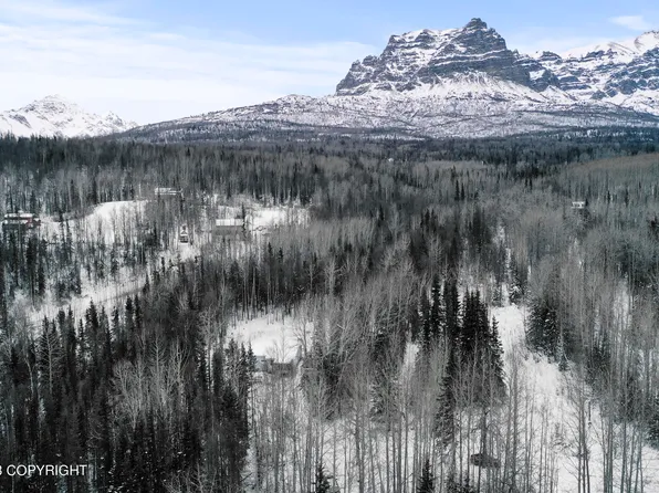 18235 E Chickaloon Rd, Chickaloon, AK 99674