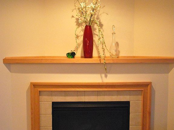 Fireplace in living room