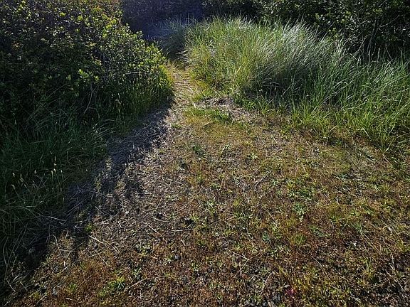 5th image of 1059 Ocean Shores Boulevard SW