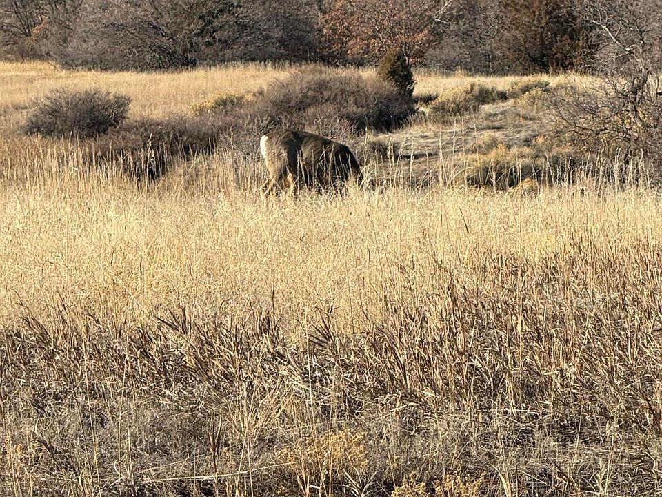 2nd image of Morris St #90