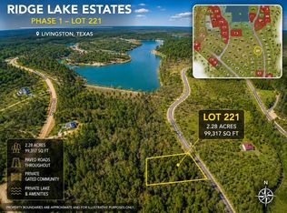 221 Vintage Rd, Livingston, TX 77351