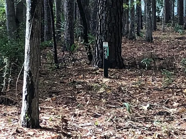 8 Masters Ct, Daufuskie Island, SC 29915