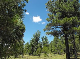 4587 Jeans Way, Happy Jack, AZ 86024