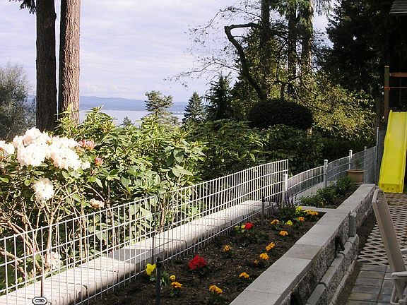 Planter boxes along back yard