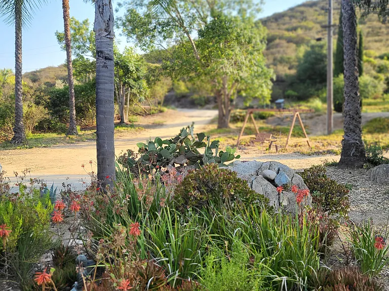 658 Coronado Hills Dr — Photo 10