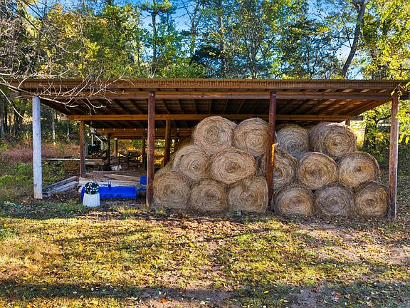 12th image of this home