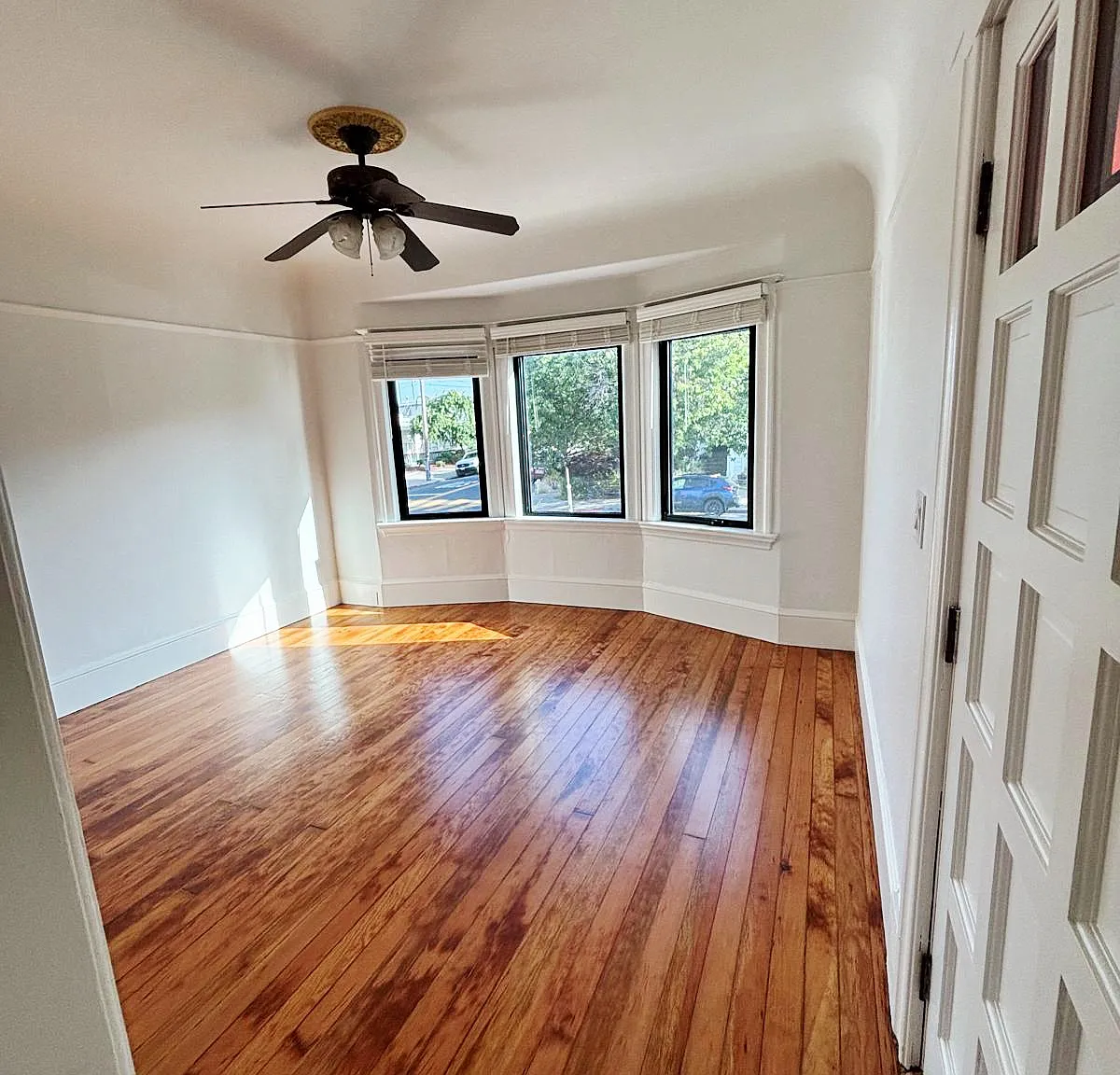 823 Apgar Street - 1 — Photo 4