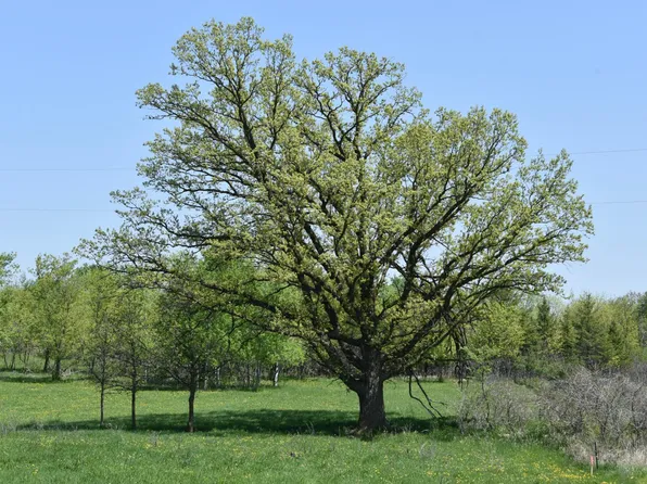 7441 Cedar Rd, Milaca, MN 56353