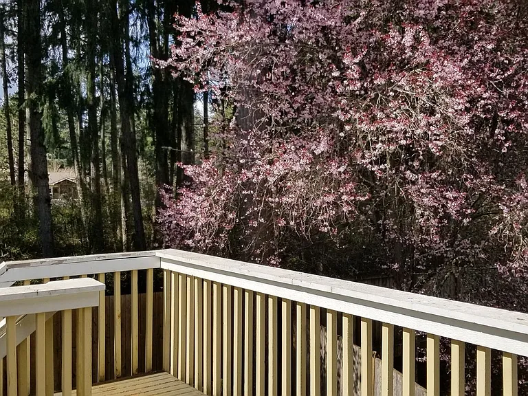 4315 Cedar Ct SE — Photo 5