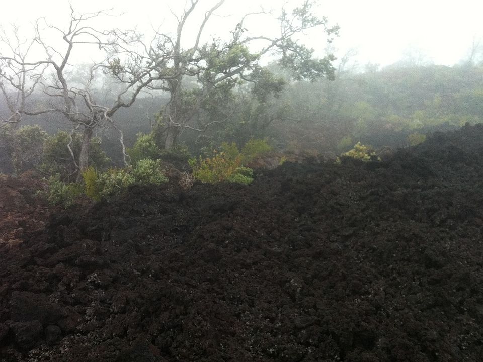2nd image of Kailua Blvd Lot 2
