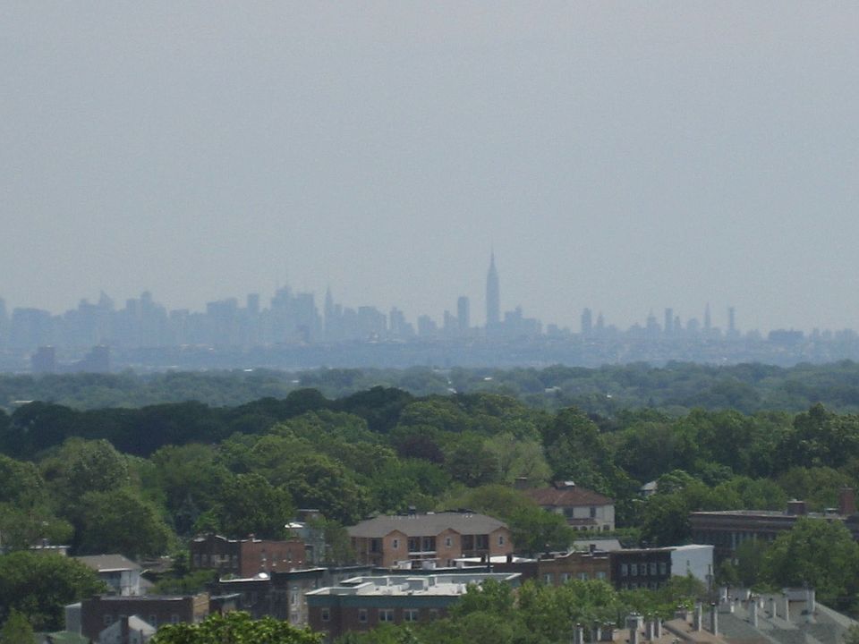 View from Rooftop Terrace
