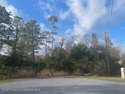 0 Phoebe Ct, Brooksville, FL, 34614