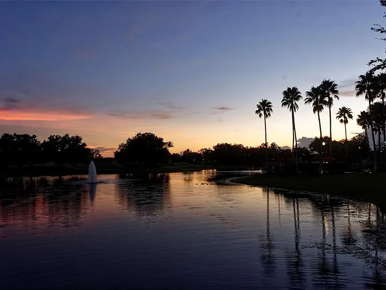 2310 Palm Tree Dr — Photo 57