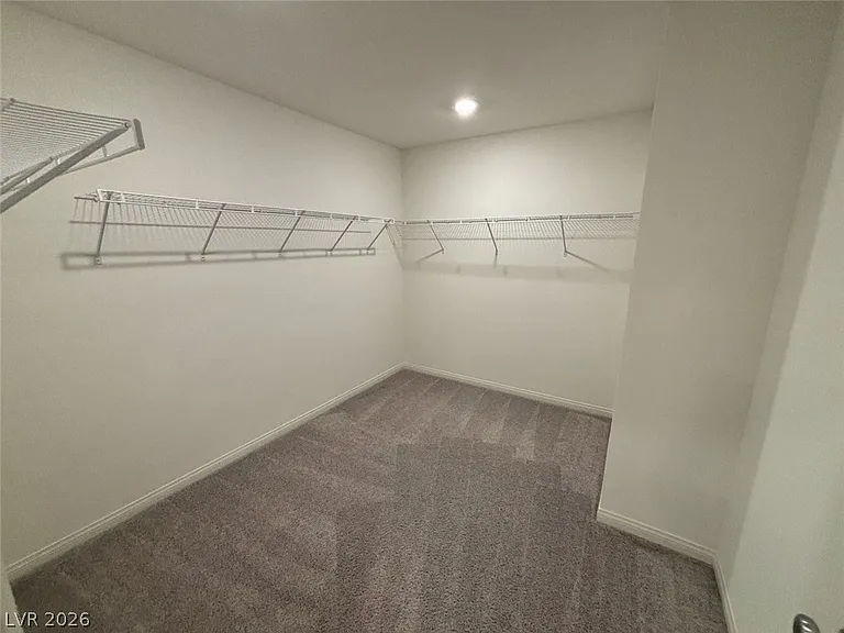 7008 Dandelion Park Ave — Photo 77