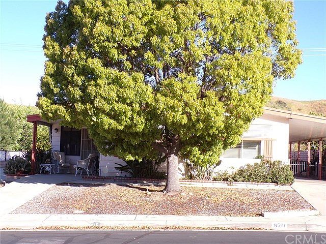 Front view, large shade tree
